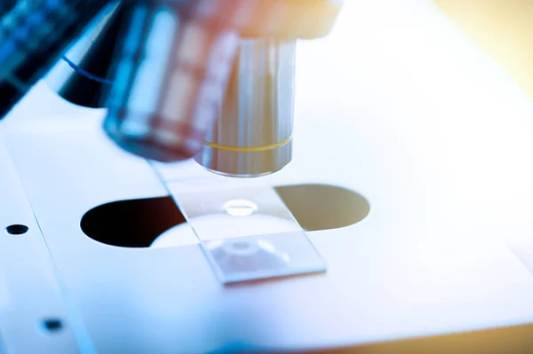 Laboratuvarda Mikroskopların Kapanışı, Seçici Odaklanma