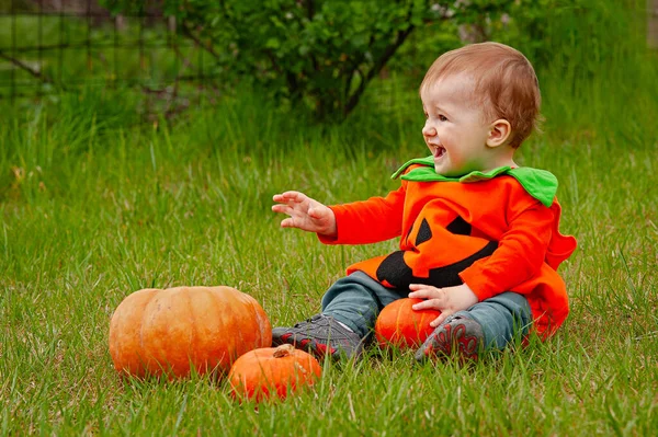 Yeşil çimlerin üzerinde balkabağı olan takım elbiseli çocuk. Cadılar Bayramı