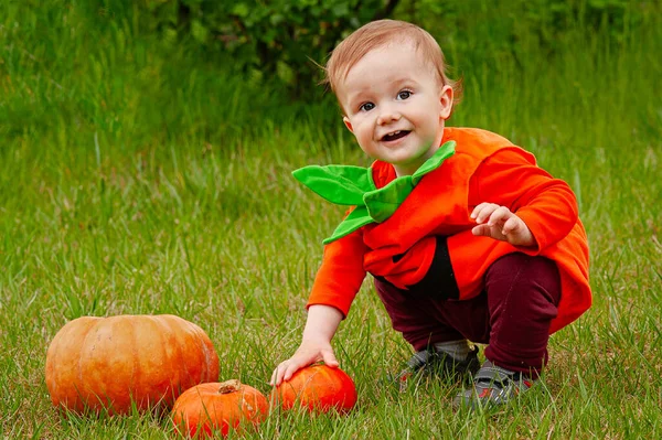 Мальчик Костюме Тыквами Зеленой Траве Хэллоуин — стоковое фото
