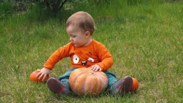 Kisfiú narancssárga hosszú ujjú pólóban, tökökkel játszik zöld füvön. — Stock videók