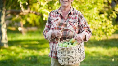 Yeşil elmalı hasır sepeti tutan yaşlı kadın.
