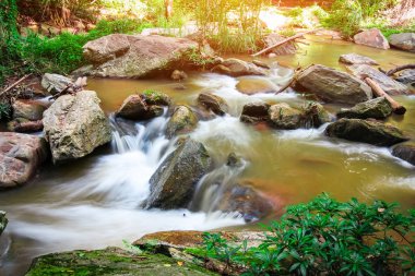 Chaingmai, Tayland ormangüzel şelale