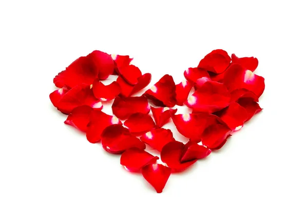 Beyaz Arka Planda Kalp Şeklinde Kırmızı Gül Yaprağı Sevgililer Günü — Stok fotoğraf