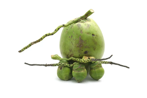 椰子成熟和美味的隔离在白色背景 — 图库照片