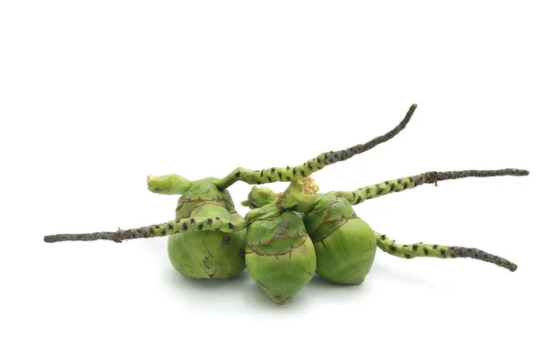 Kokosové Zralý Chutný Izolovaný Bílém Pozadí — Stock fotografie