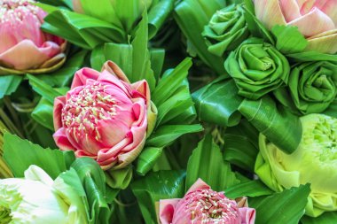 Lord Buddha saygı katlanır yaprağı ile lotus çiçek Closeup görünümü