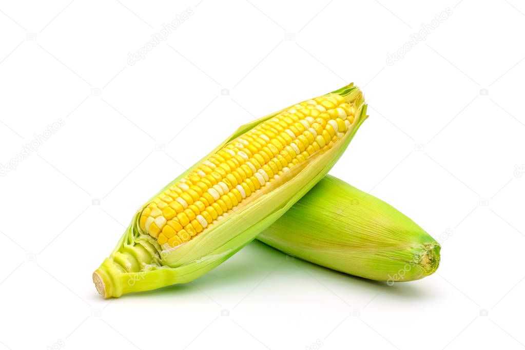 Isolated two tone sweet corn on white background