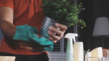 Yeşil yapraklı çiçekleri sulayan kadın.