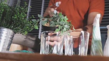 Masadaki yeşil bitkiyle ilgilenen kadın.