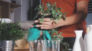 Elinde bir bardak suyla elinde bitki tutan bir kadın.