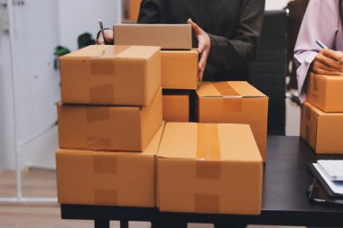 Küçük işletmeler kurma portresi KOBİ sahipleri ve iki Asyalı kadın online siparişleri kontrol ediyor. Ev işlerinde çalışan kutucuklarla çalışan ürünleri satıyorlar.