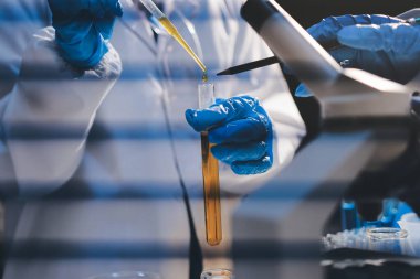 Klinik laboratuvarında çalışan araştırmacılar.