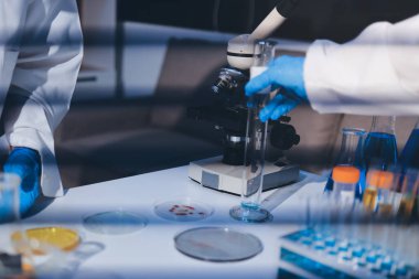 Klinik laboratuvarında çalışan araştırmacılar.