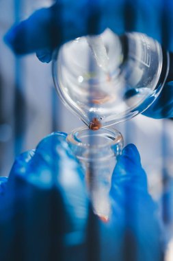 Klinik laboratuvarında çalışan araştırmacılar.