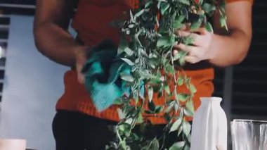 young woman holding green plant pot