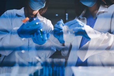 Klinik laboratuvarında çalışan araştırmacılar.