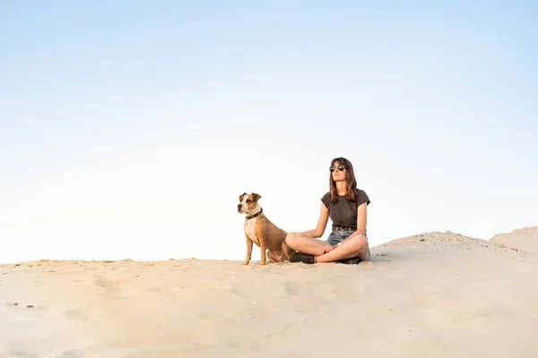 Mulher Bonita Óculos Sol Com Cão Sentar Areia Menina Caminhadas — Fotografia de Stock