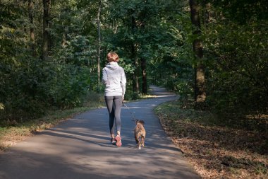 Kadın ile köpek güzel ormanda koşu. Genç kadın kişi ile çapraz ülke çalışan egzersiz temiz havada evde beslenen hayvan yapıyor.