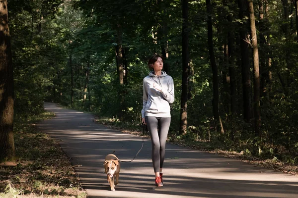 Mujer Corriendo Con Perro Hermoso Bosque Joven Mujer Con Mascota —  Fotos de Stock