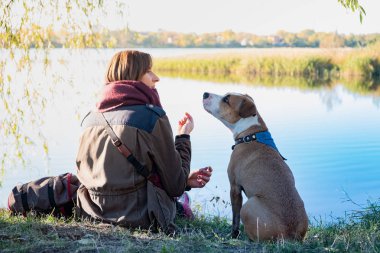 İnsan köpek ile iletişim. Genç köpek oturur ve onu kadın sahip bir göl yakınındaki güzel doğada dinler.