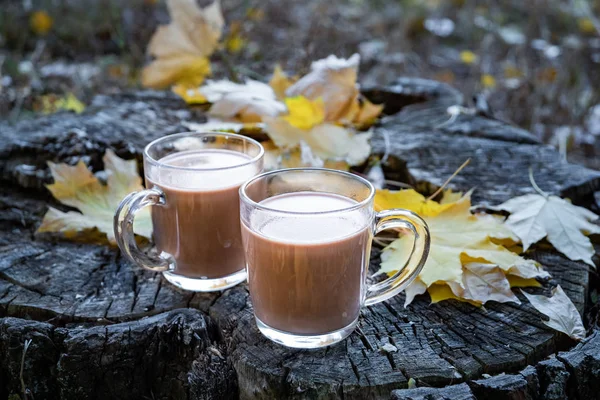 Cups of cocoa on natural wood background with autumn leaves. Milk coffee in glass cups on beautiful textured wooden surface outdoors