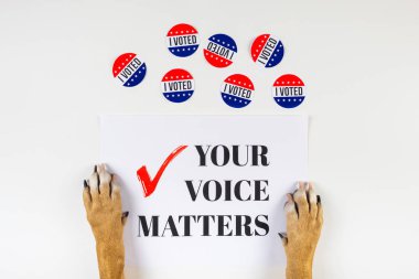 Amerikan seçim aktivizm kavramı ile köpek pençeleri. Siyasi işaret ve oy gün rozetleri üstten görünüm beyaz arka plan üzerinde