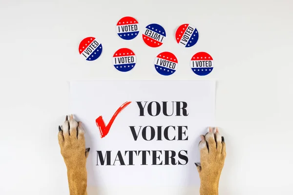 Amerikaanse Verkiezingen Activisme Concept Met Hond Poten Bovenaanzicht Van Politieke — Stockfoto