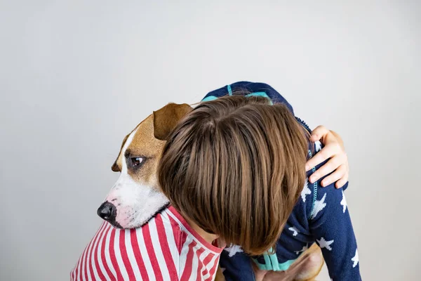 Αγάπη Και Καλοσύνη Ζώα Έννοια Γυναίκα Αγκαλιάζει Σκύλο Στο Ιστορικό — Φωτογραφία Αρχείου
