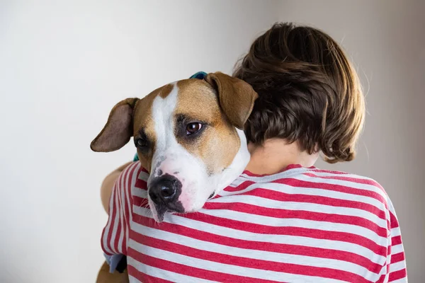 愛と優しさの動物概念に 女性は スタジオの背景に彼女の犬を抱擁します — ストック写真