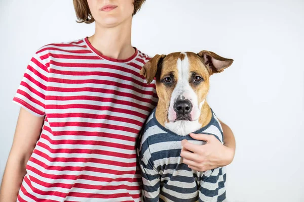 Perro Dueño Con Ropa Similar Staffordshire Terrier Humanos Vestidos Con — Foto de Stock