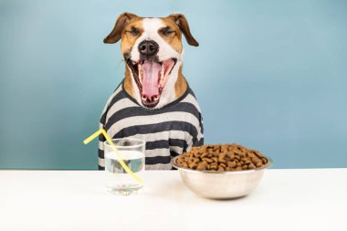 Komik köpek kahvaltı masasında esneme pijama. Minimalist beyaz ve mavi arka plan, evde beslenen hayvan yiyecek kase önü uykulu köpek yavrusu açıklayıcı kavramı