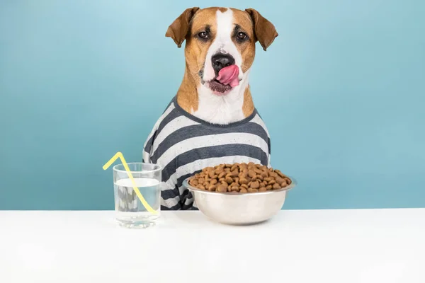Zabawny Pies Piżamie Śniadaniu Przy Stole Ilustrujący Pojęcie Szczeniak Lizanie — Zdjęcie stockowe