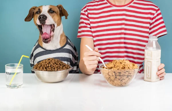 Sleepy dog and human having breakfast together. Minimalistic illustrative concept of yawning dog with a person in front of pet food and cereals bowls.