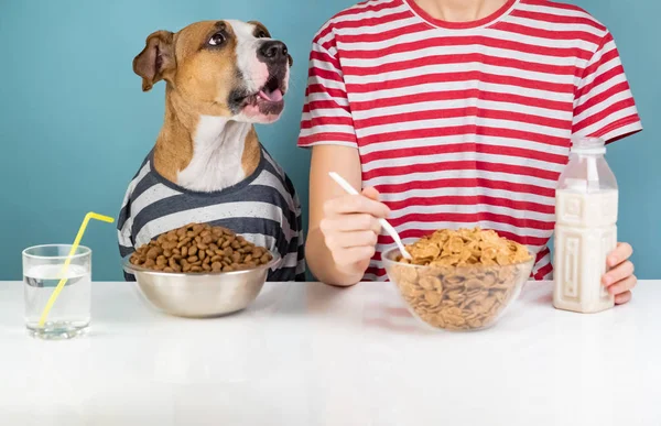 Głodny Pies Człowiek Mając Razem Śniadanie Minimalistyczne Ilustrujący Pojęcie Pies — Zdjęcie stockowe