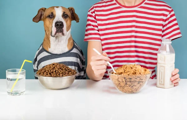 Anjing Lapar Dan Manusia Sarapan Bersama Konsep Ilustrasi Anjing Yang — Stok Foto