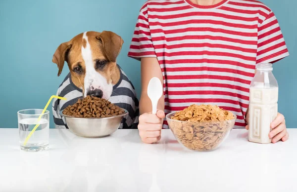 Anjing Lucu Dan Manusia Sarapan Bersama Konsep Ilustrasi Anjing Yang — Stok Foto