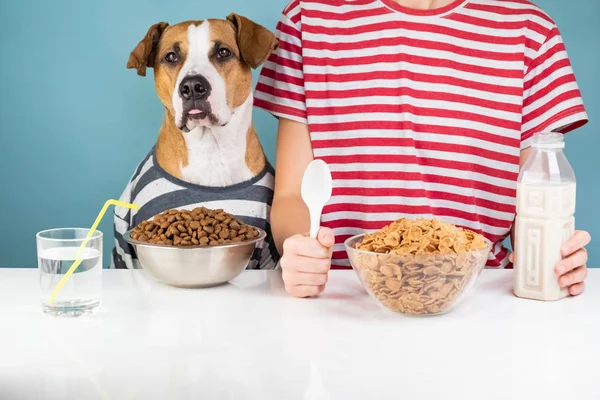 Cute dog and human having breakfast together. Minimalistic illustrative concept of dog with a person in front of pet food and cereals bowls.