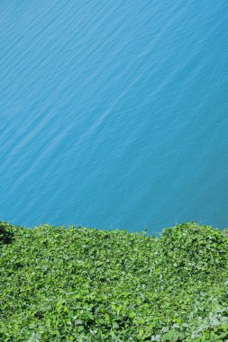 Mavi deniz suyu ve yeşillikleri. 