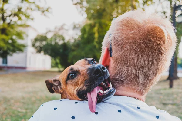 Amizade humana e do cão: jovem abraça seu cão engraçado, perspectiva de volta da pessoa . — Fotografia de Stock