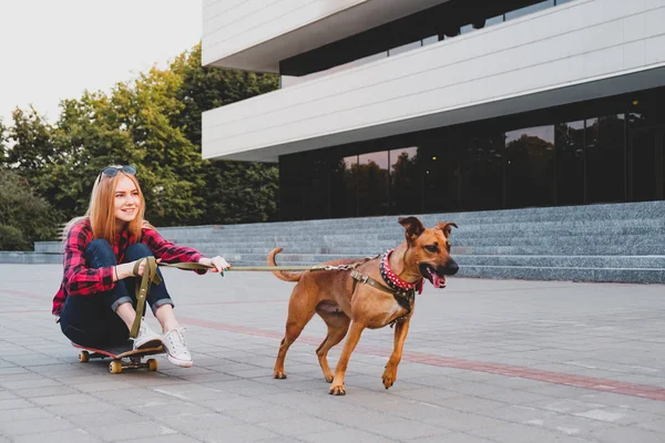 Perempuan muda skateboard rider bersenang-senang di berjalan-jalan dengan anjingnya . — Stok Foto