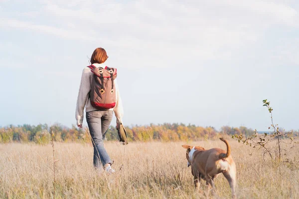 Sonbahar tarlalarında köpekli bir kadın.. — Stok fotoğraf