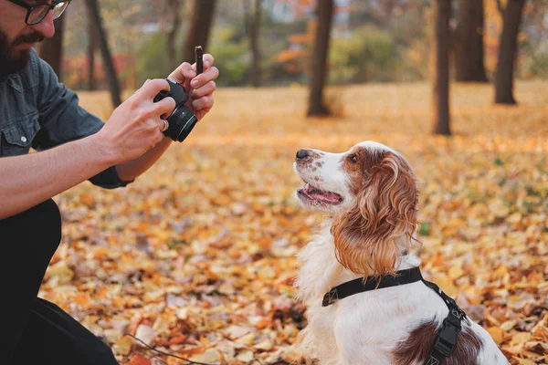 Mannen fotograferar sin hund i en park. — Stockfoto