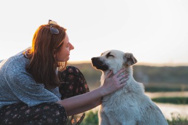 Kadın gün batımında evcil bir köpek. İnsan ve evcil hayvan ilişkisi, iletişim ve etkileşim
