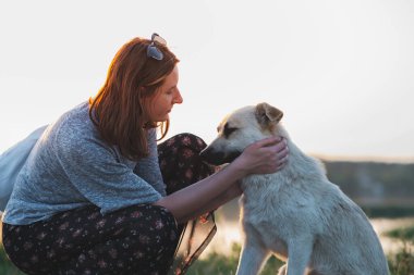 Kadın ve köpek gün batımında doğada. İnsan ve evcil hayvan ilişkisi, iletişim ve etkileşim