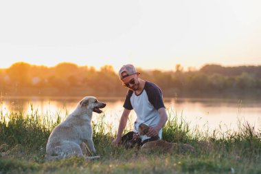 İnsan gün batımında köpeklerini göl kenarında evcilleştirir. İnsan ve evcil hayvan ilişkisi, iletişim ve etkileşim, köpeklere bakmak.