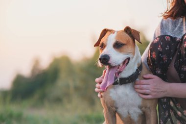 Yaz mevsiminde kadınların ellerinde gözleri kapalı mutlu bir köpek. Kadın dışarıda yürürken köpeğine sarılıyor.