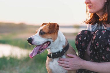 Yaz mevsiminde kadınların ellerinde gözleri kapalı mutlu bir köpek. Kadın dışarıda yürürken köpeğine sarılıyor.