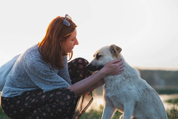 Kadın Köpek Gün Batımında Doğada Nsan Evcil Hayvan Ilişkisi Iletişim — Stok fotoğraf