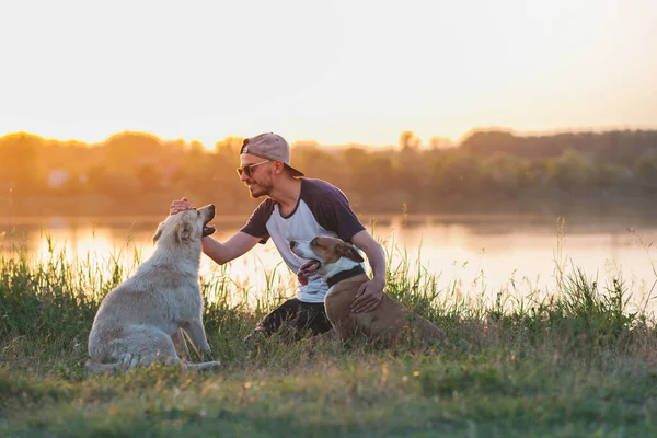 Man pets his dogs in the nature at sunset by the lake. Human and pet relationship, communication and interaction, taking care of dogs