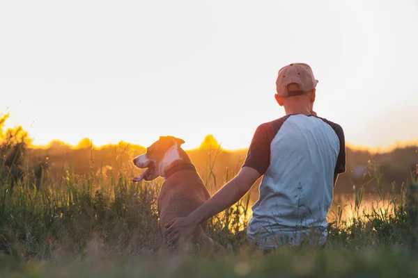 Man hugs his dog in sunset by the lake. Pets and human friendship, taking care, spending time together.